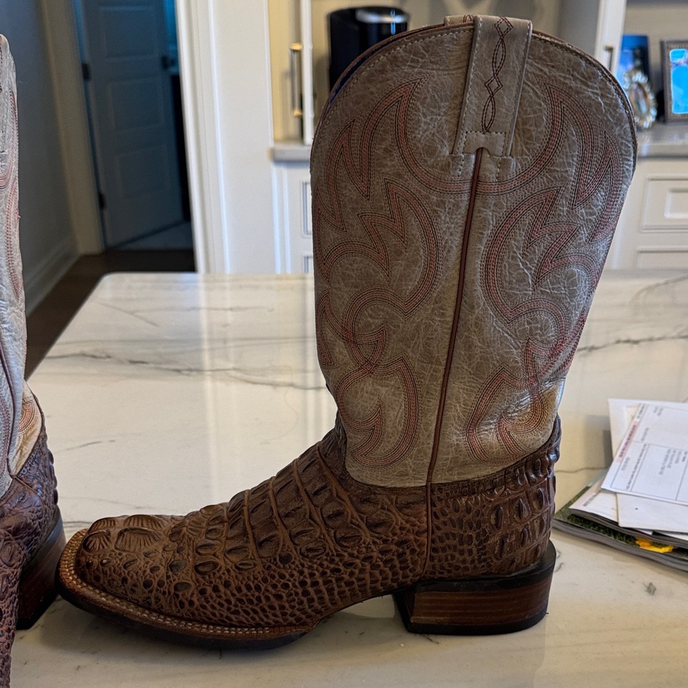 Cowboy boots. Worn twice. Hornback Alligator. Size 9 D.